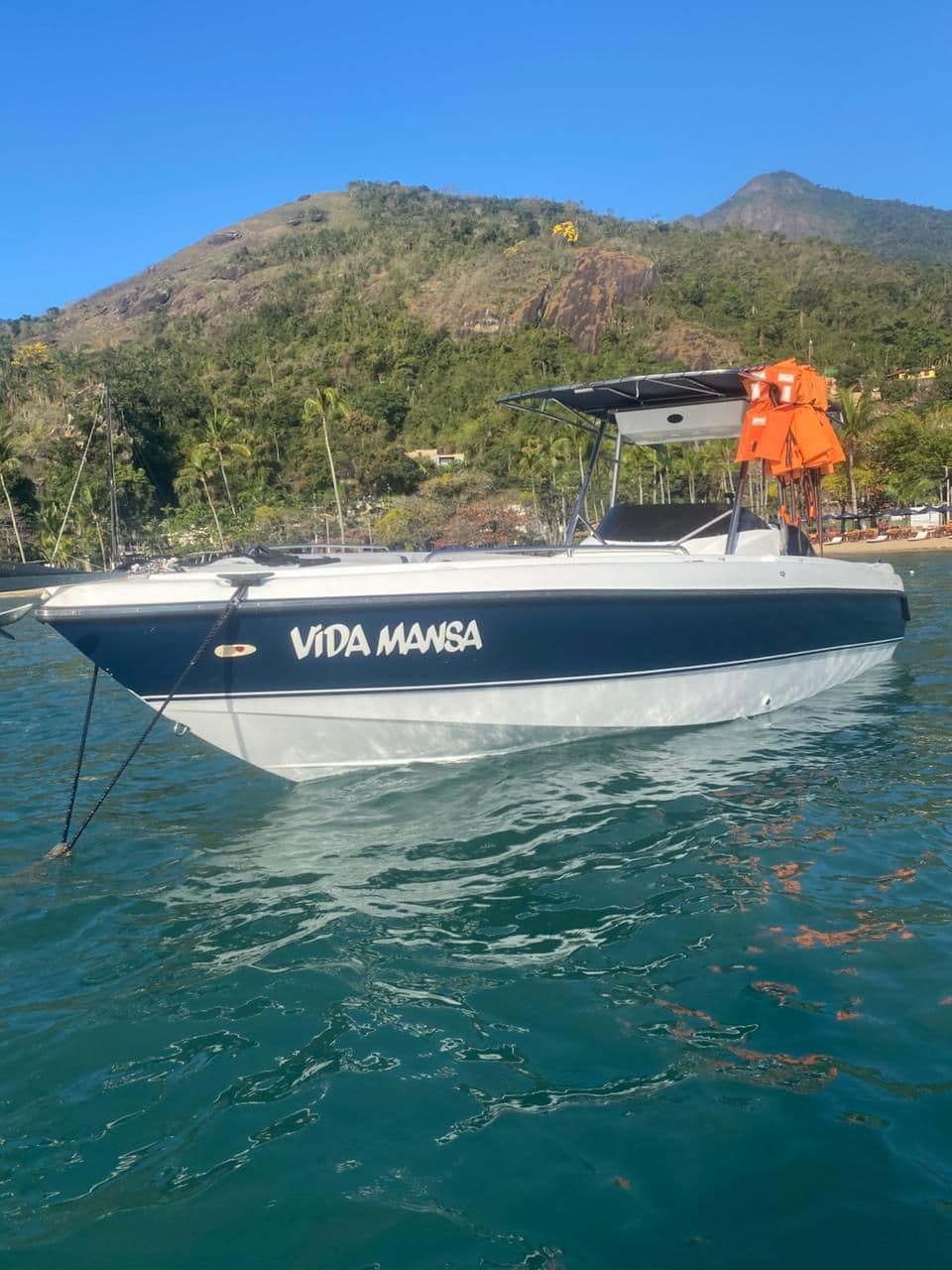 Vida Mansa - Imagem 1